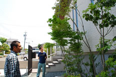 庭仕事風雅　日本モダン家屋に合わせたすっくと伸びる庭木植栽